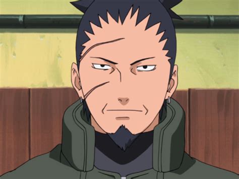 Merupakan ayah Shikamaru Nara dan shinobi paling genius di dunia Naruto, Shikaku berperan sebagai otak Pasukan Aliansi Shinobi dan bertanggung jawab atas semua strategi yang digunakan oleh Pasukan Aliansi Shinobi. . Shikaku nara